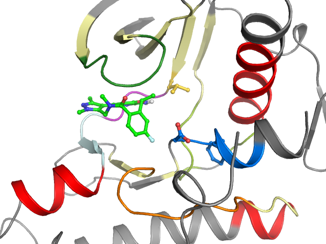 The orthosteric binding pocket