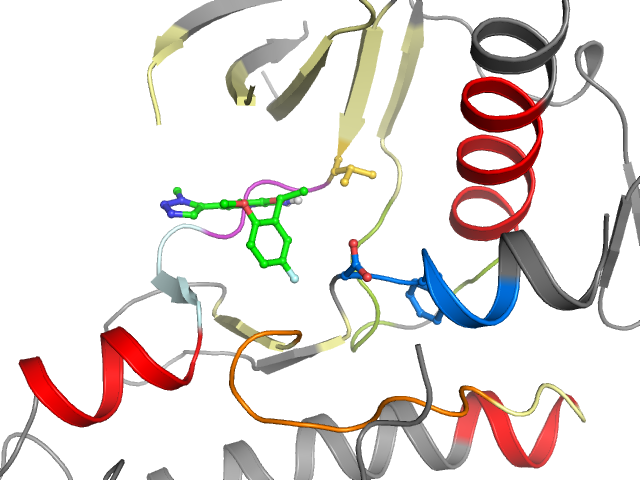 The orthosteric binding pocket