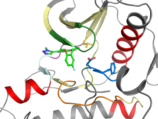 The orthosteric binding pocket