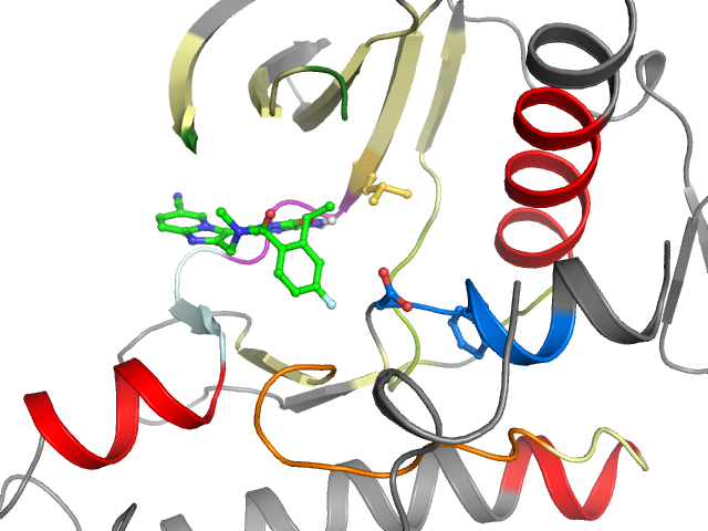 The orthosteric binding pocket