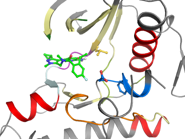 The orthosteric binding pocket