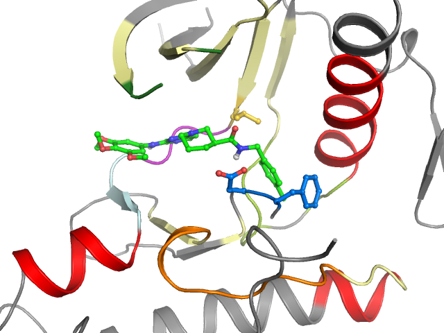 The orthosteric binding pocket