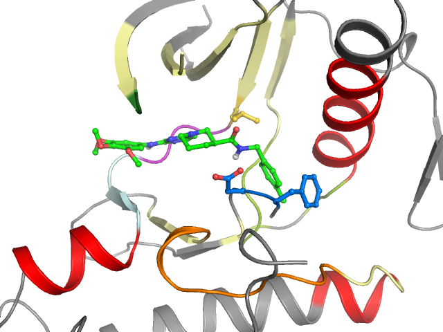 The orthosteric binding pocket