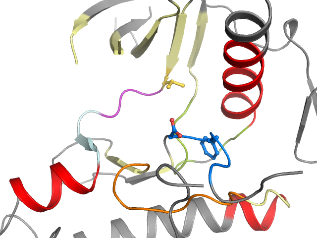 The orthosteric binding pocket