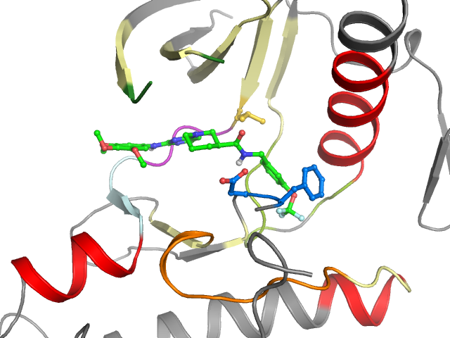 The orthosteric binding pocket