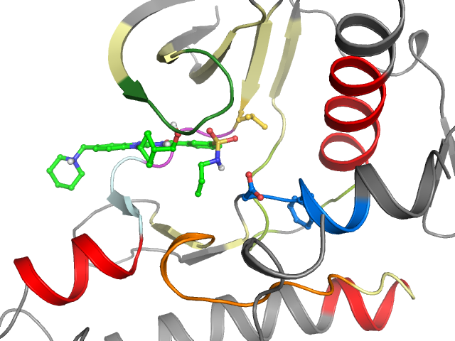 The orthosteric binding pocket