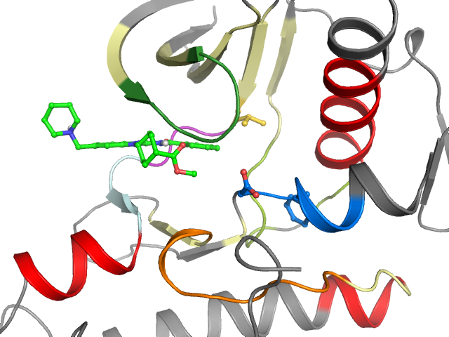 The orthosteric binding pocket