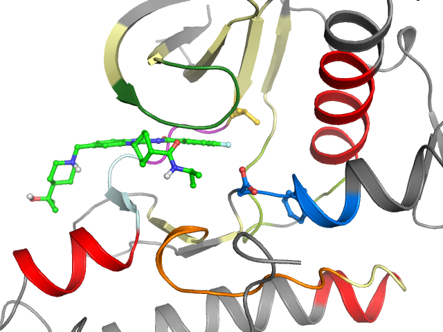 The orthosteric binding pocket