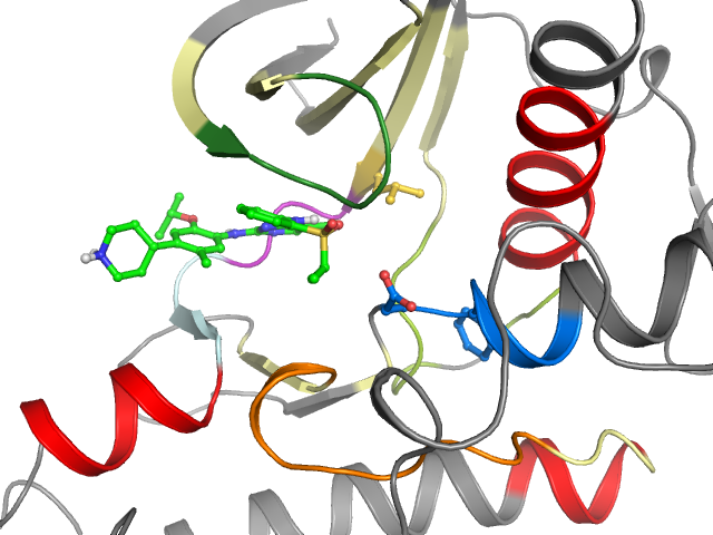 The orthosteric binding pocket