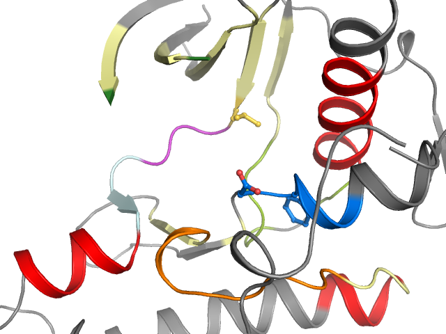 The orthosteric binding pocket