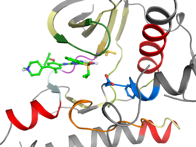 The orthosteric binding pocket