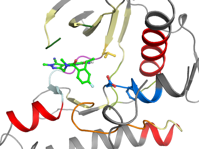 The orthosteric binding pocket