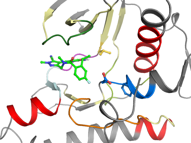 The orthosteric binding pocket