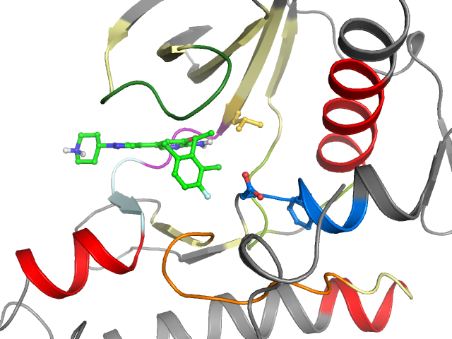 The orthosteric binding pocket