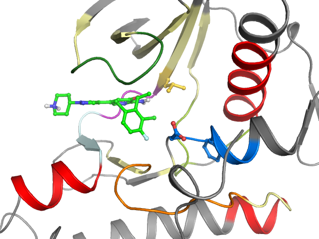 The orthosteric binding pocket
