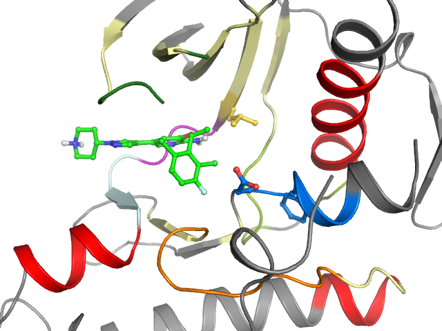 The orthosteric binding pocket