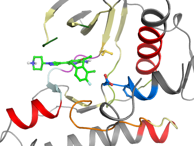 The orthosteric binding pocket
