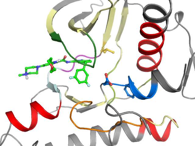 The orthosteric binding pocket