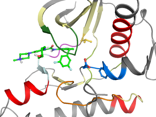 The orthosteric binding pocket