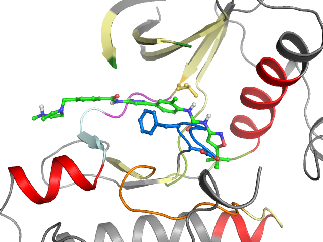 The orthosteric binding pocket