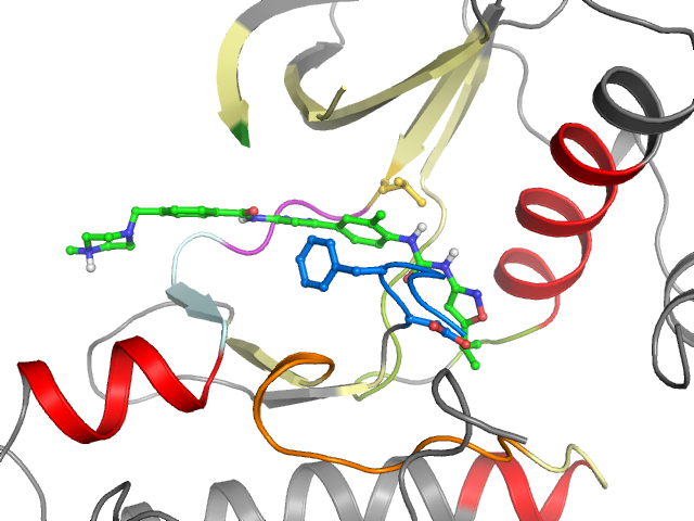 The orthosteric binding pocket