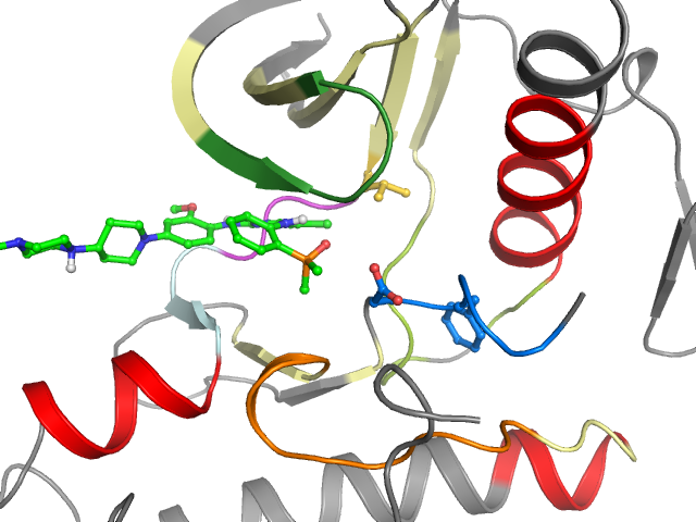 The orthosteric binding pocket
