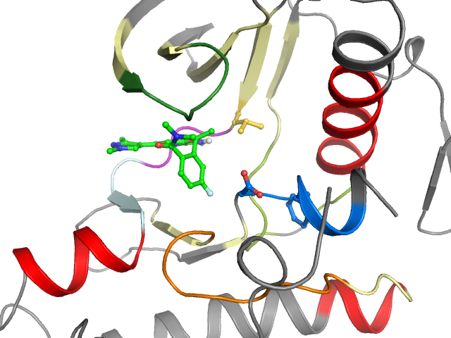 The orthosteric binding pocket