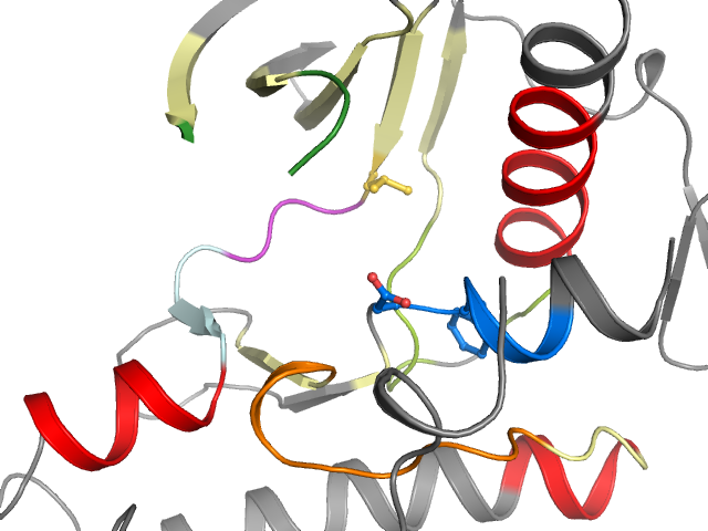 The orthosteric binding pocket