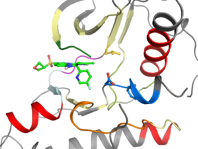 The orthosteric binding pocket