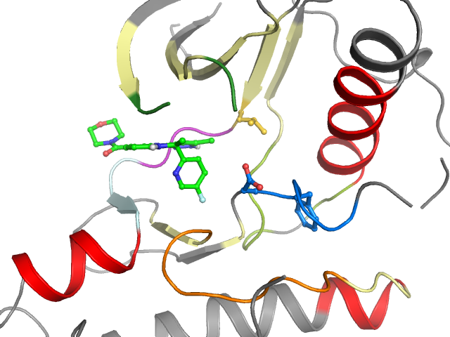 The orthosteric binding pocket