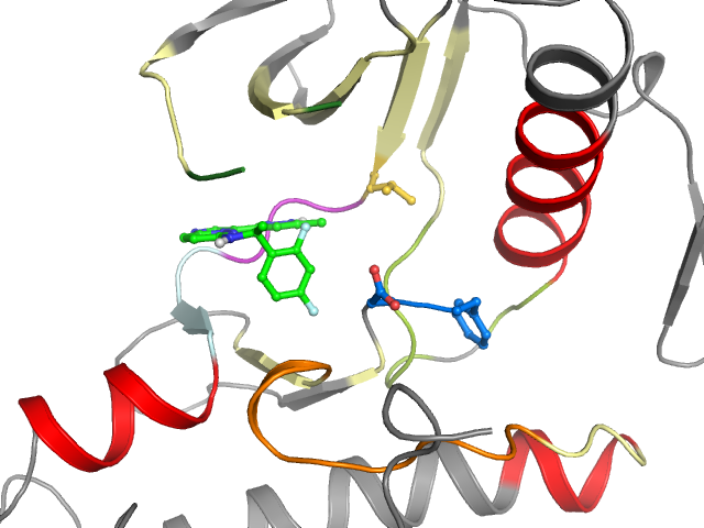The orthosteric binding pocket