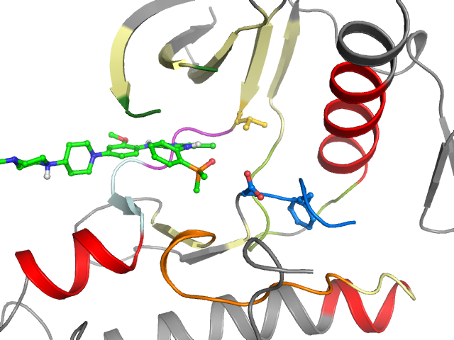 The orthosteric binding pocket