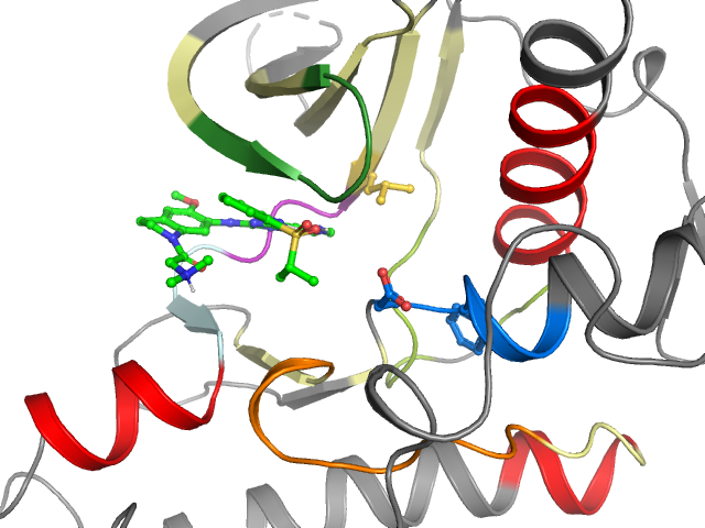 The orthosteric binding pocket