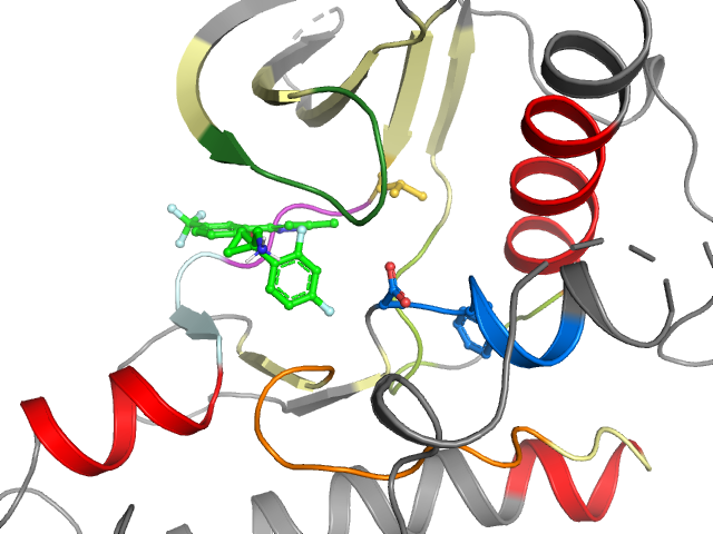 The orthosteric binding pocket