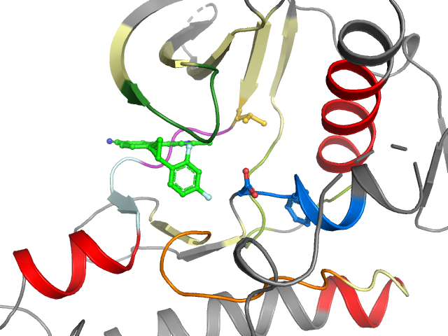 The orthosteric binding pocket