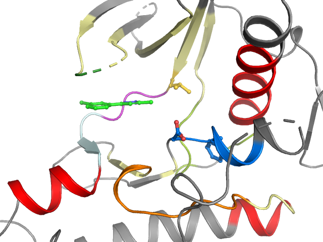 The orthosteric binding pocket