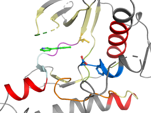 The orthosteric binding pocket