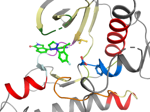 The orthosteric binding pocket