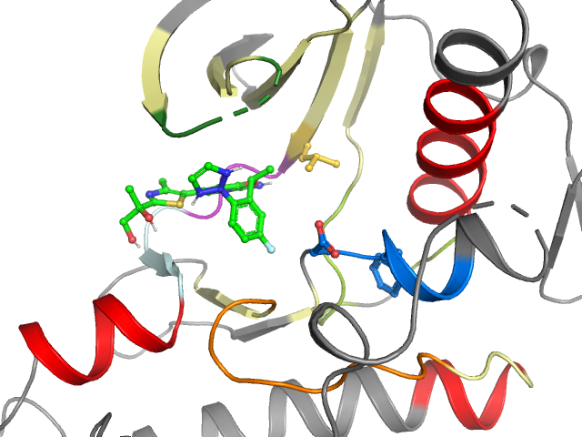 The orthosteric binding pocket