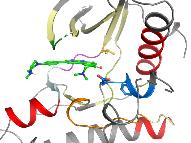 The orthosteric binding pocket
