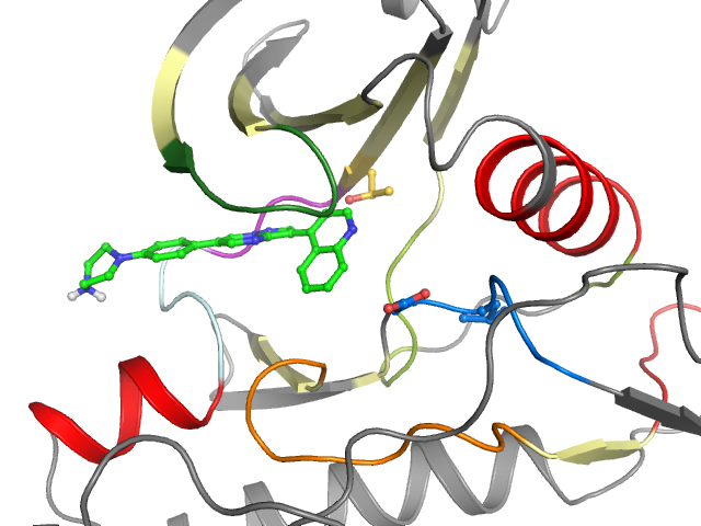 The orthosteric binding pocket