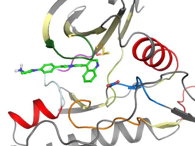The orthosteric binding pocket