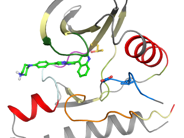 The orthosteric binding pocket
