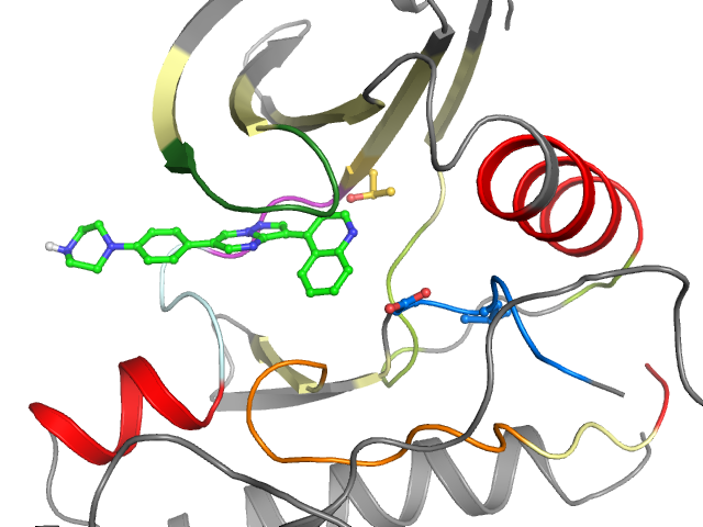 The orthosteric binding pocket