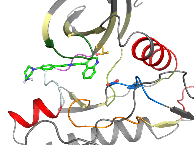 The orthosteric binding pocket