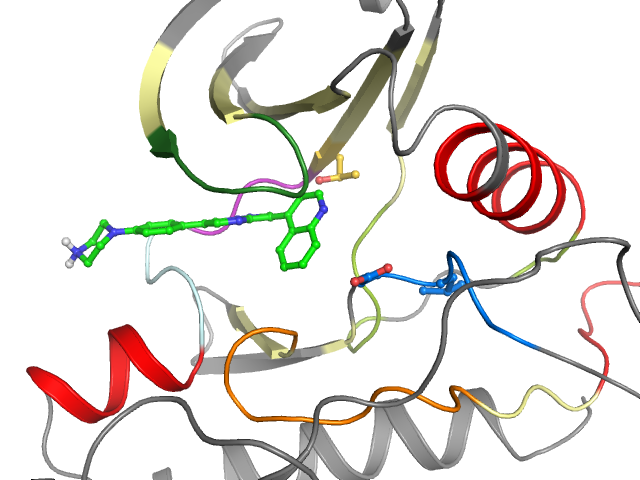 The orthosteric binding pocket