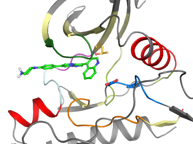 The orthosteric binding pocket