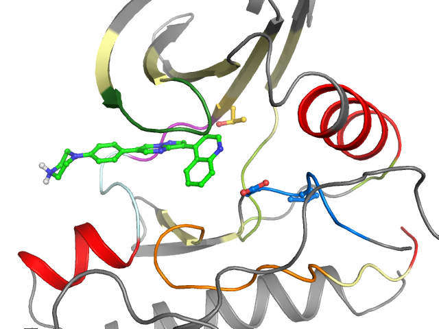 The orthosteric binding pocket