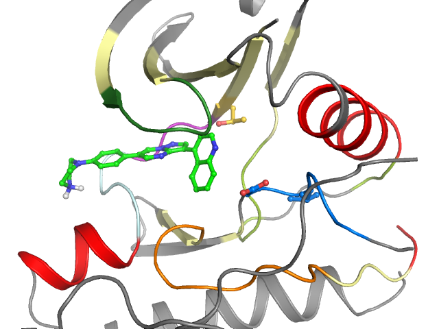 The orthosteric binding pocket