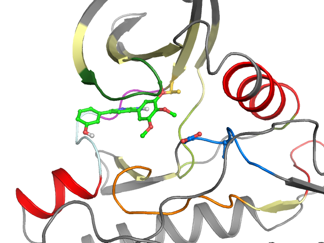 The orthosteric binding pocket